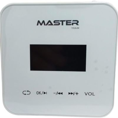 (ابيض/ اسود)مكبر صوت حائطي ماستر تيم 80 وات MT-BA-420X