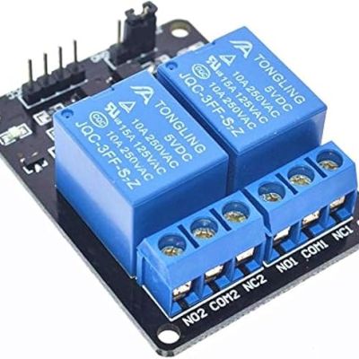 Arduino 5V 2 Channel Relay Module with Octocoupler for DIY Project